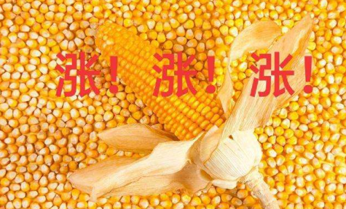 玉米期貨開戶要驗資嗎？為何不能買