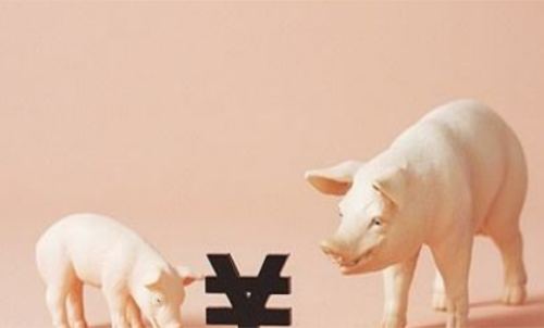 一手生豬期貨交易成本要多少錢？保